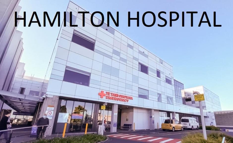 Self Contained En-Suite Private Bathroom, Private Entrance, Close To Shops & Hospital Homestay Hamilton Dış mekan fotoğraf